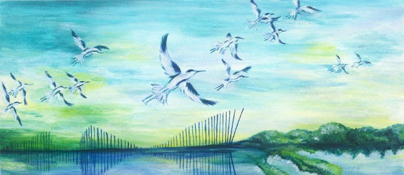 Ashley Tu 凃雅馨 的作品