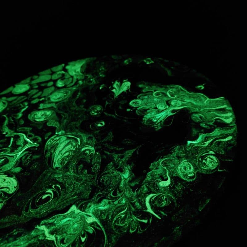 海洋中的料理秀 8