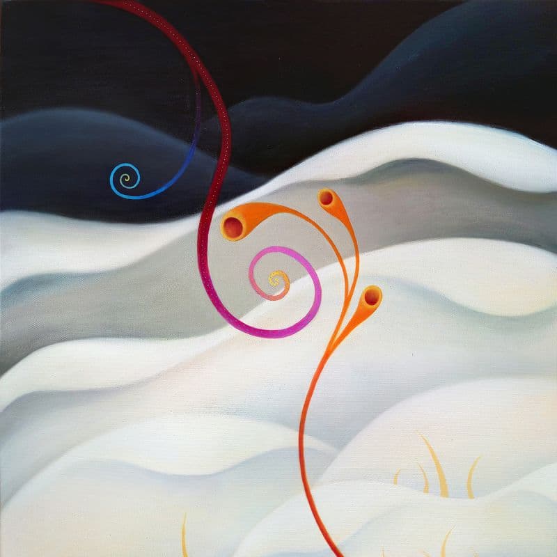 Difflora N°230515 2