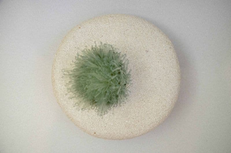 place from place 放置 2