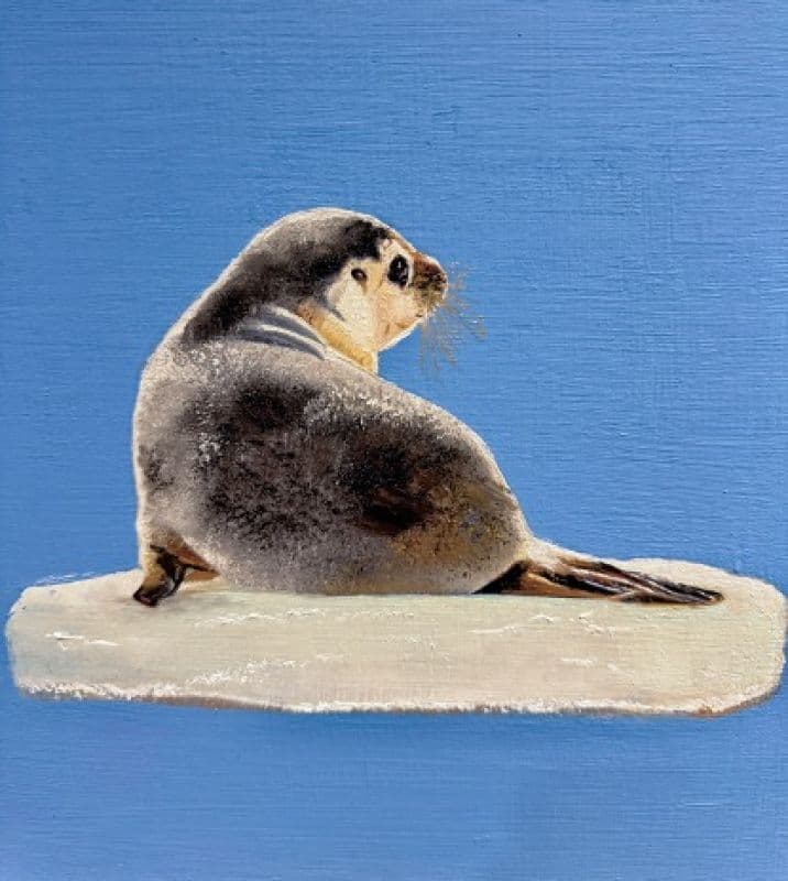 嗨!慢一點Baby seal - 世界顛沛流離,你一定要找到自己 2