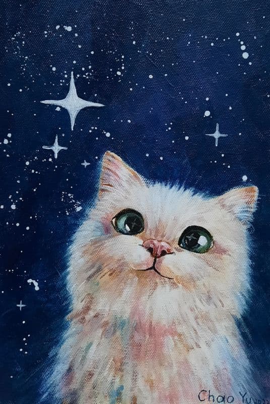 想要最大的星星