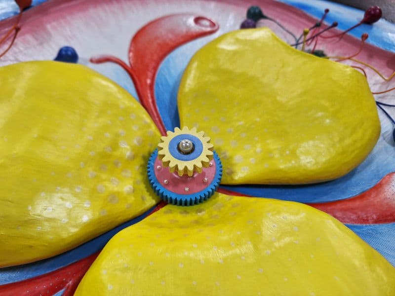 Difflora N°2307-C 2