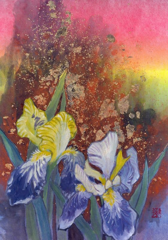 拾花釀春系列-德國鳶尾羅蕾萊(Iris 'Loreley')1