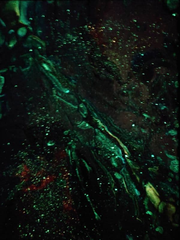 安塔提卡的雙生火焰 3